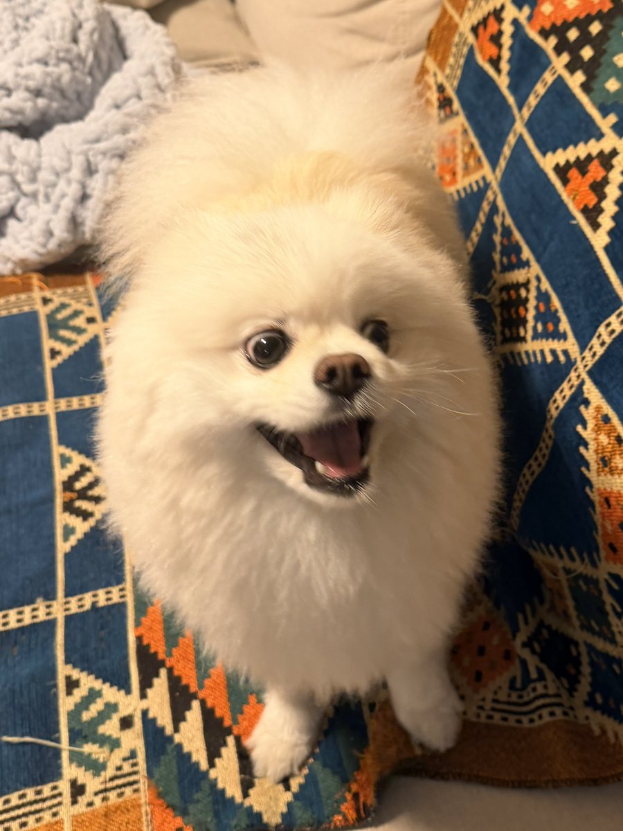 InosukeWorkout's tweet photo. シーズン2
84日目
体重4.5kgと66.8kg
立ちコロ100回 https://t.co/txp9RZTW9X