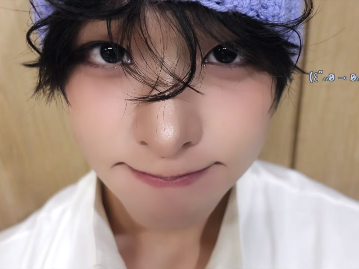코이 tweet media