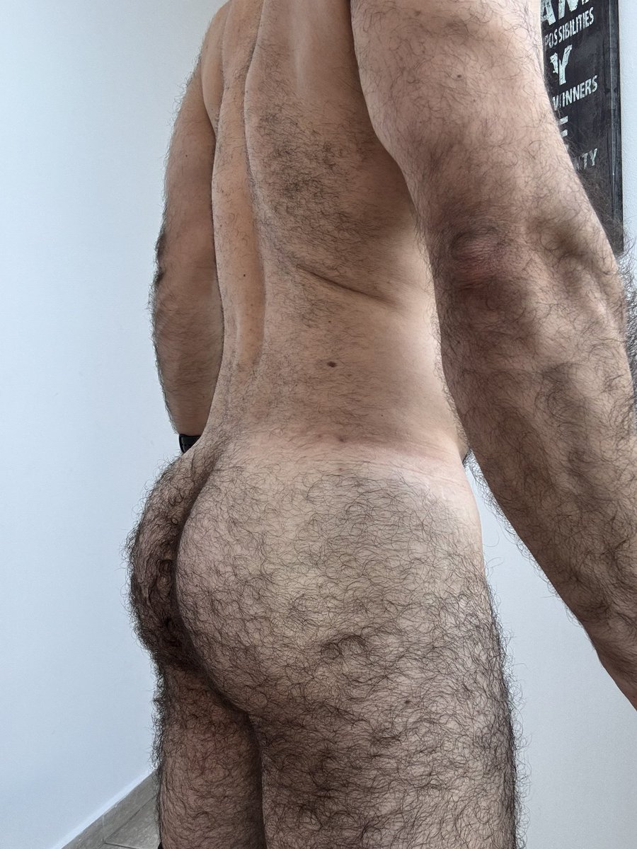 peludaosafado tweet media