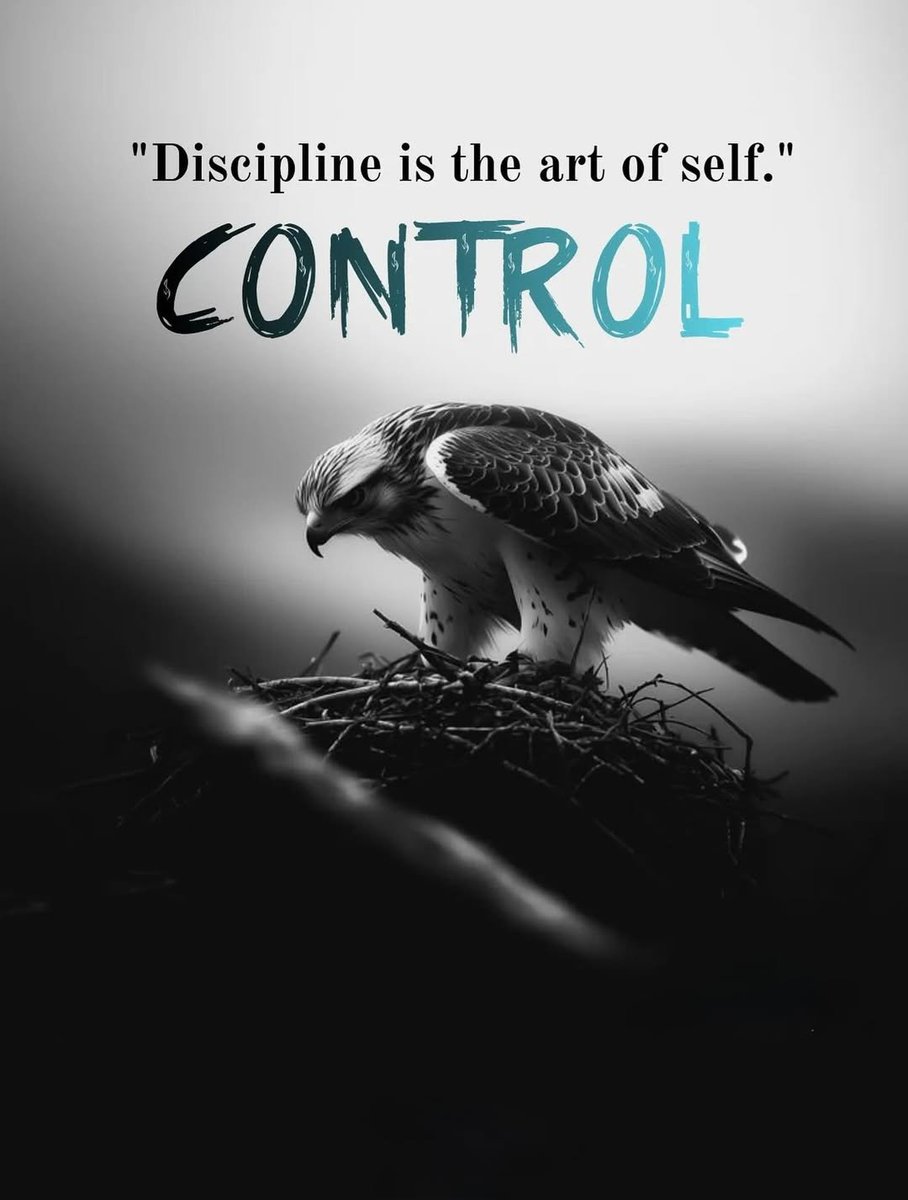 Way Of Discipline tweet media