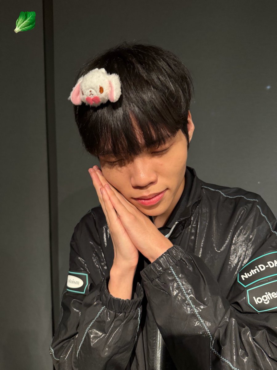 🥬배추 tweet media