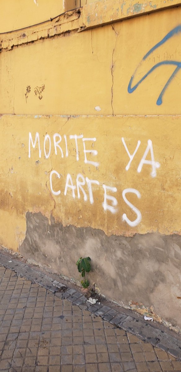 MioH 🇵🇾 tweet media