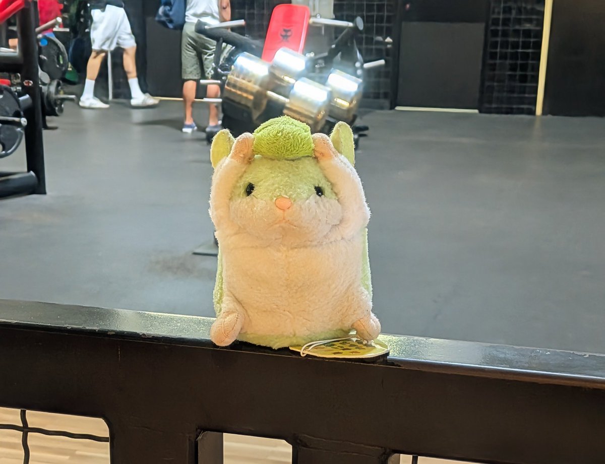 yah76348406's tweet photo. ベニスにあるゴールドジムの１号店だッ💪🐹✨️

実はマヂラブさんのラジオを拝聴し、金のダンベルみたいなと思って急遽行き先に急遽追加しました。 https://t.co/O1mqK7chIC