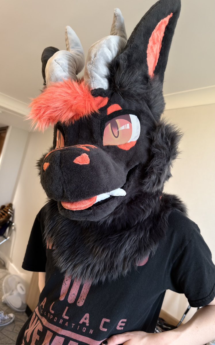 Noct🐉@CFZ tweet media