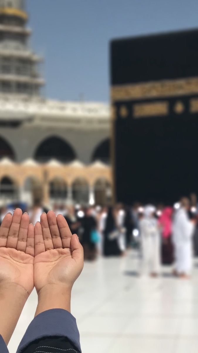 رحاب العلوية tweet media