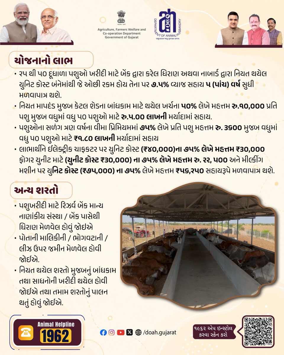 DoahGujarat's tweet photo. ગામડું બનશે આત્મનિર્ભર! 🐄
ગુજરાત સરકાર ૨૫ થી ૫૦ ગીર/કાંકરેજ ગાયના ફાર્મ માટે આપે છે આર્થિક સહાય:

✨૭.૫% વ્યાજ સહાય
✨શેડ માટે ૫૦% સહાય(મહત્તમ ₹૫ લાખ)
✨સાધનો/વીમા પર ૭૫% સબસિડી

📝બેંક લોન મંજૂર થયા બાદ Ikhedut પોર્ટલ પર ઓનલાઈન અરજી કરો.
📞૧૯૬૨

#KhedutVikas #DairyFarming https://t.co/W8xW5R6pCx