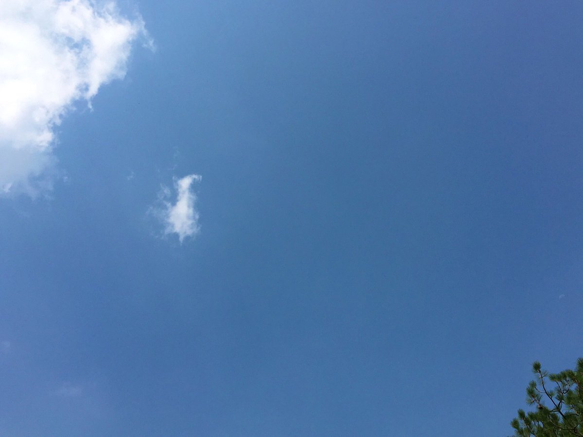 user4O9's tweet photo. bluesky; not the Jack’s one https://t.co/RZ9xclFiHf