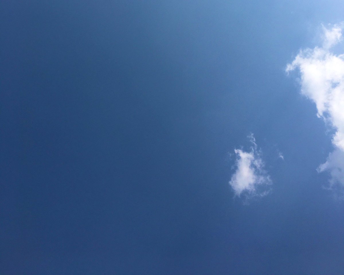user4O9's tweet photo. bluesky; not the Jack’s one https://t.co/RZ9xclFiHf