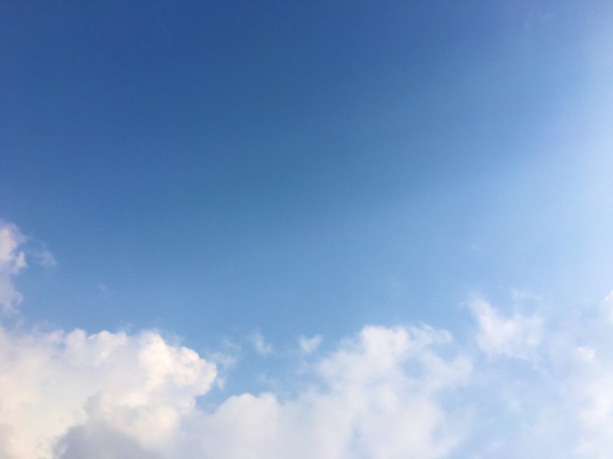 user4O9's tweet photo. bluesky; not the Jack’s one https://t.co/RZ9xclFiHf
