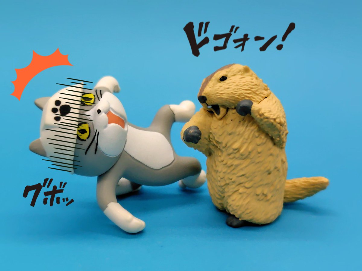 仕事猫