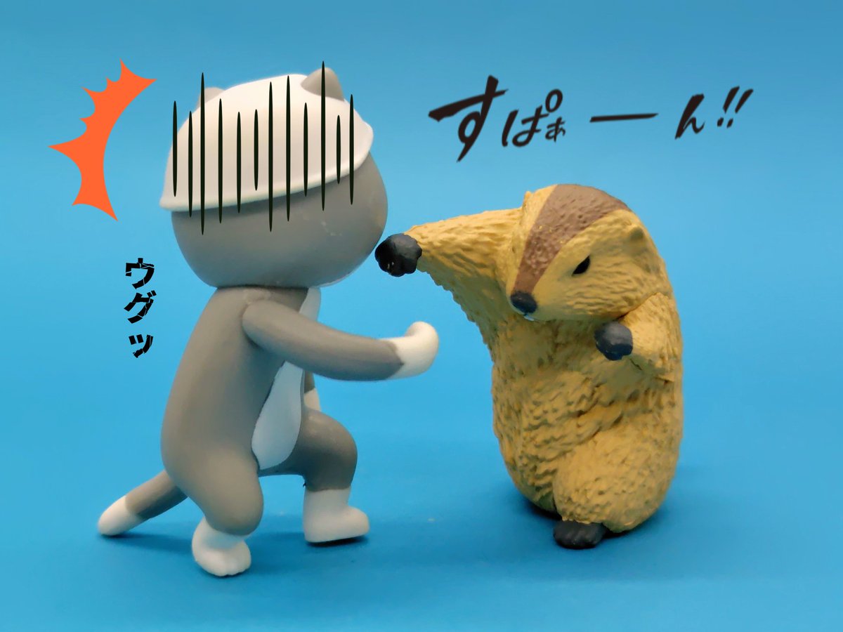 仕事猫