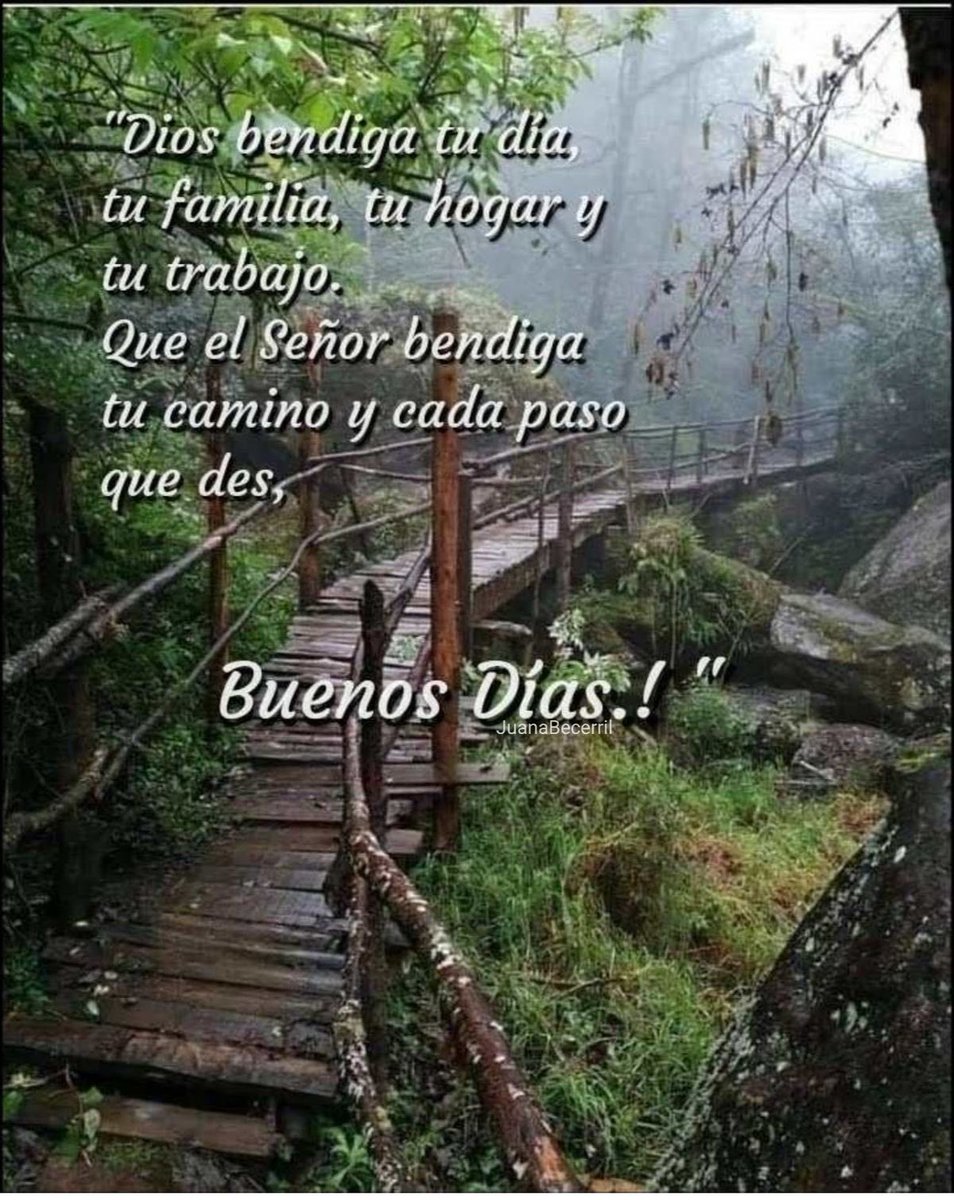 Miguel Quintero Diaz tweet media