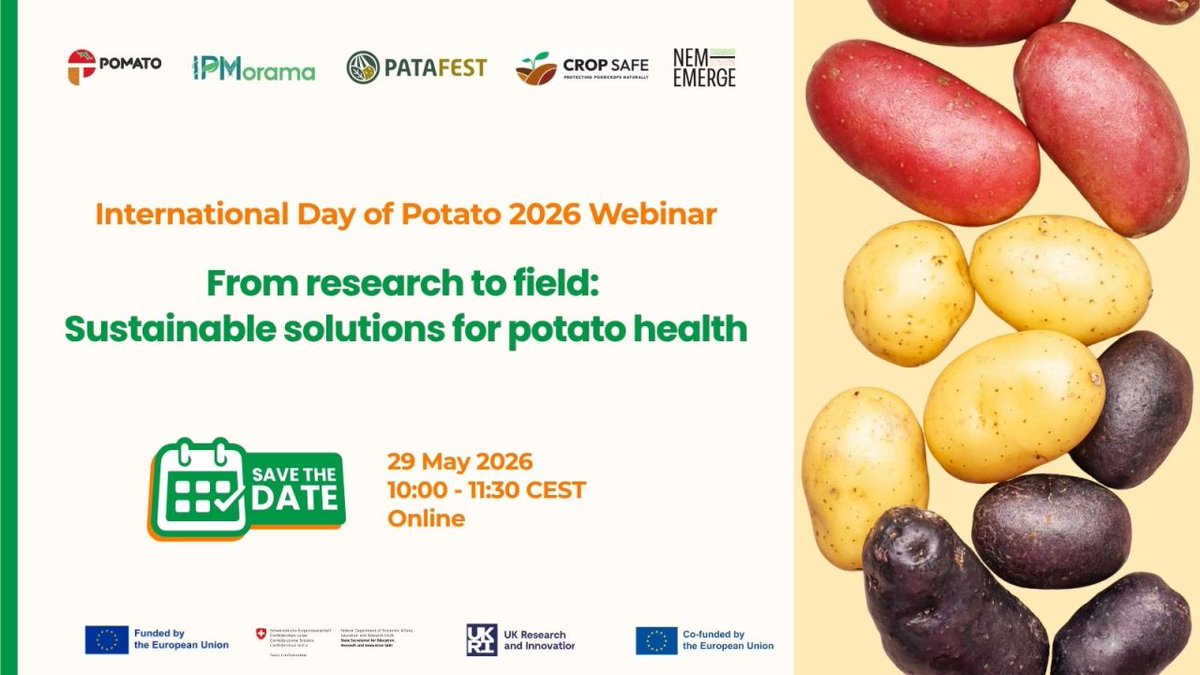 NEMEMERGE's tweet photo. π₯ #InternationalDayofPotato is approaching and we have a joint event to inform you aboutπ
#NEMEMERGE is joining forces with #POMATO, @patafest_eu, #CROPSAFE and #IPMoramaπ€
π
29 May 2026
π 10:00-11:30 CEST
π» Online
Registration is now liveπ https://t.co/B2DQhNzKOU https://t.co/ttwdoWcQwd