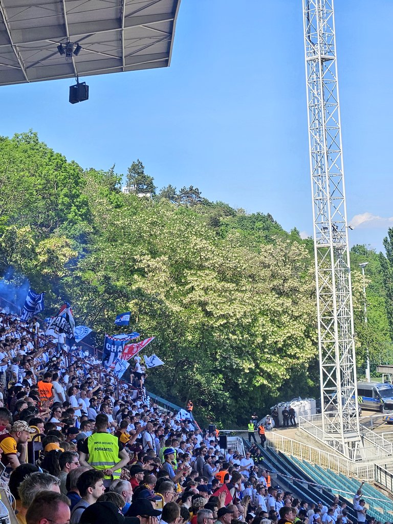 Jaroslav Plasil tweet media