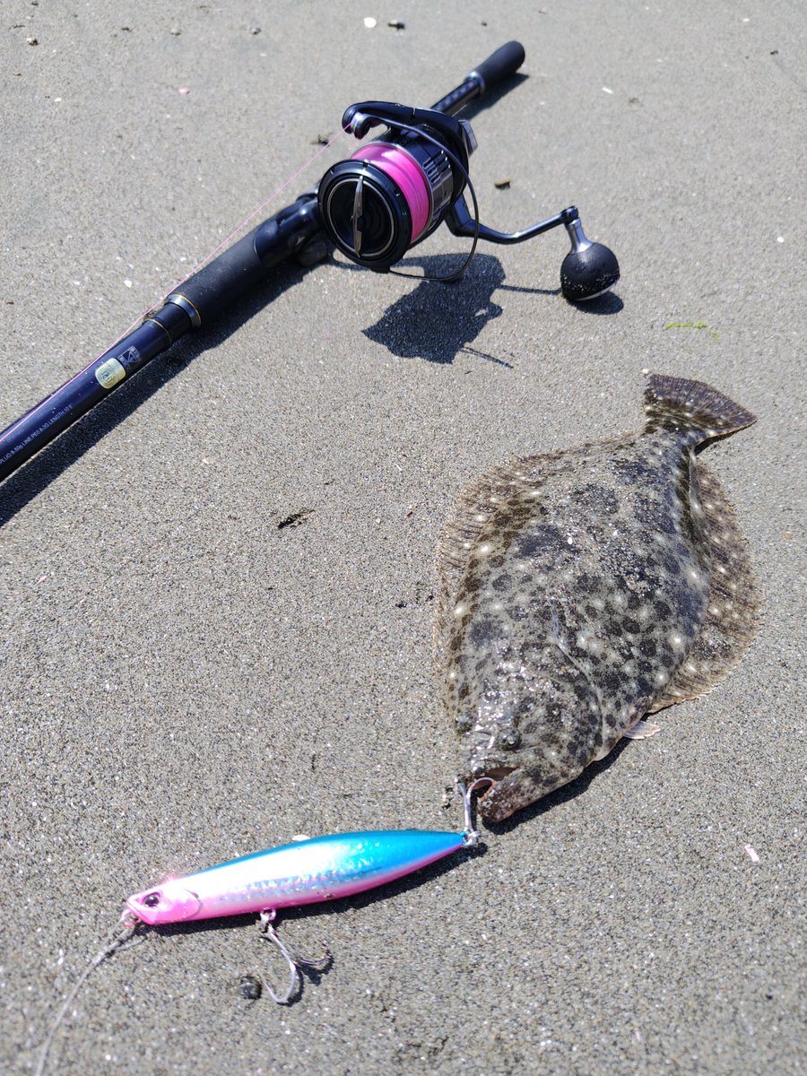terastation515's tweet photo. in三重サーフ！

DUOの
ウェッジ95Sの新色にヒット！🐟️

かわいいソゲサイズでしたが嬉しい１枚

・ヒットルアーは
【DUO】ウェッジ95S
　　　(UVピンクシャイニーブルーGB)

#DUOinternational
#DUOサポーター
#ウェッジ95S
#三重サーフ
#PR https://t.co/fr8lpLjGtk