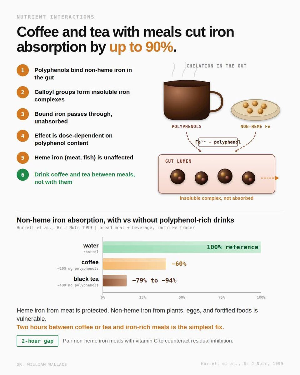 Coffee and tea contain polyphenols that bind non-heme iron in the gut ...