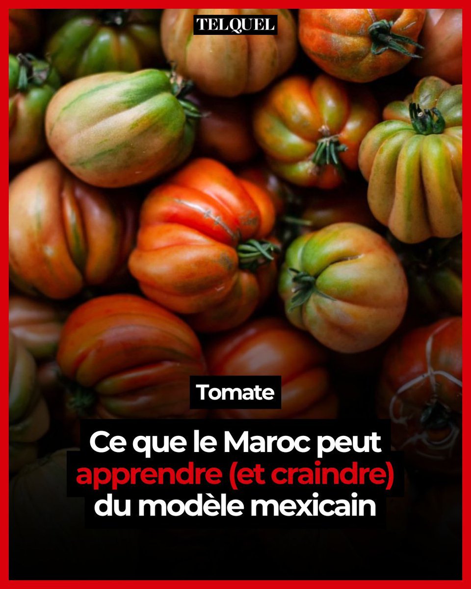 TelQuel tweet media