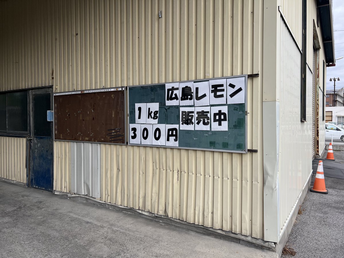 松本規之 tweet media