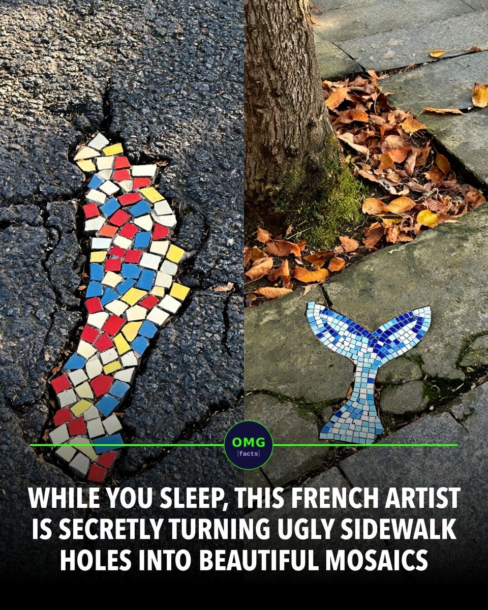 OMGFacts's tweet photo. 🎨 A street artist fills potholes with mosaics.
Known as Ememem, he patches cracked sidewalks at night using colorful ceramic tiles across Europe.
Cracks become canvases.
Sources: The Guardian, My Modern Met
#omgfacts #StreetArt #Mosaics https://t.co/1lHHnYq57u