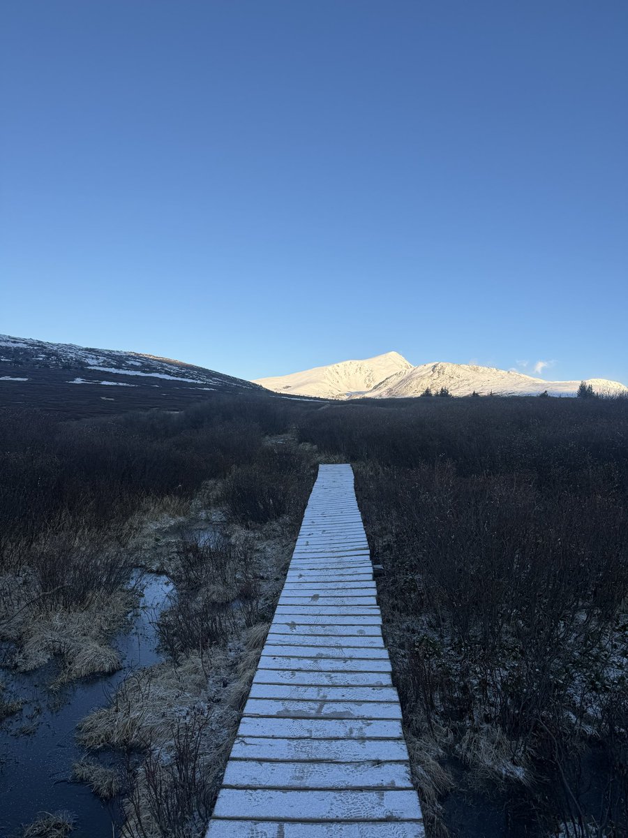 zefishguy's tweet photo. Good morning https://t.co/Oif80nz16W