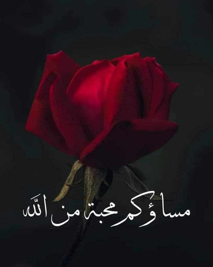 الـرَّحـالُ الْـشُّعيبــي tweet media