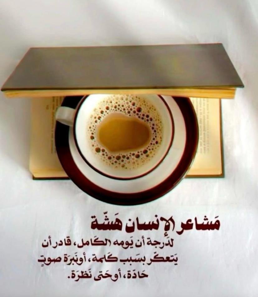 ༺منيَرٍة༻ tweet media