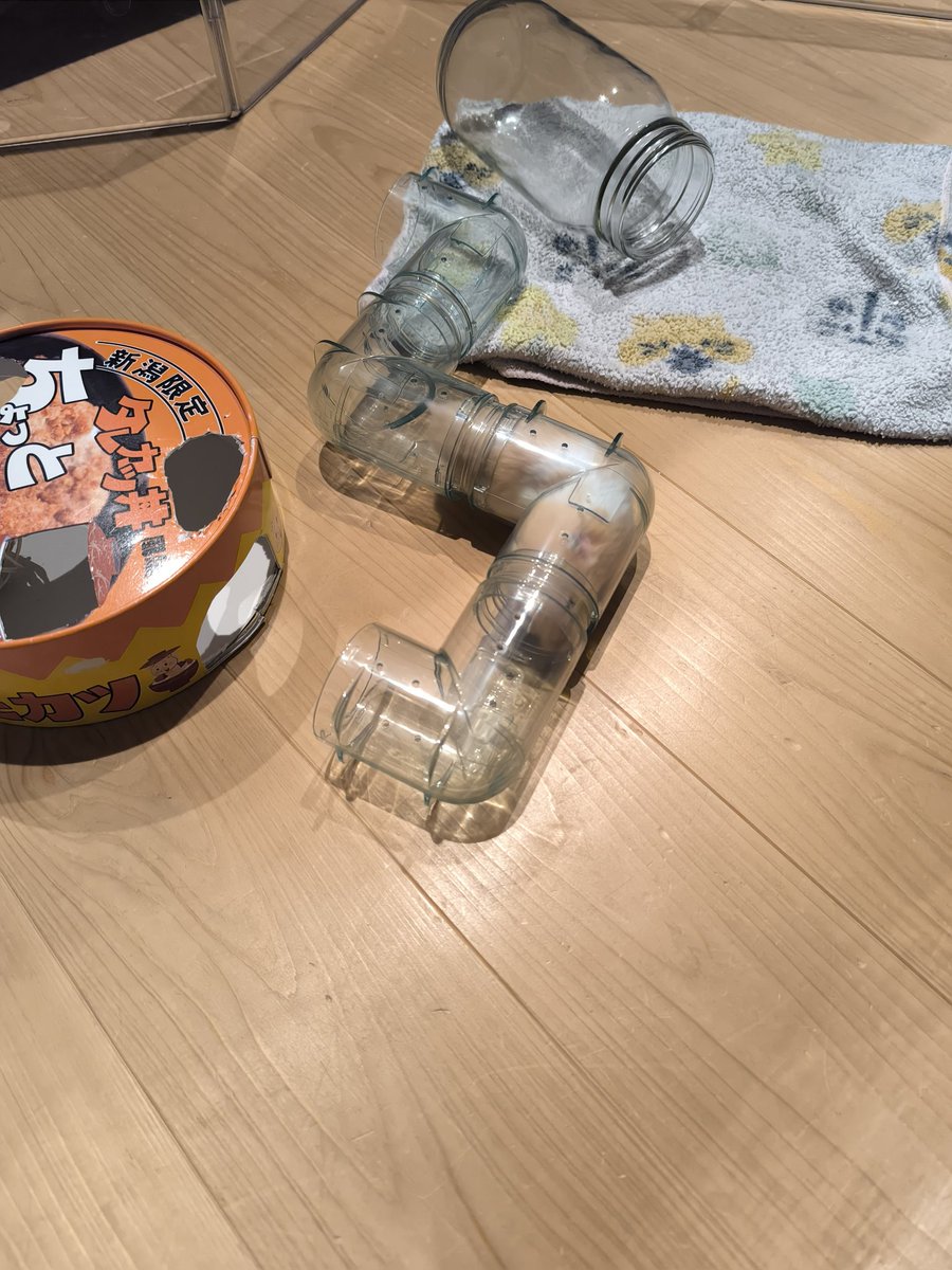 haruhiro_suzuki's tweet photo. ハムスター直角🐹 https://t.co/0FU6OeHNuV