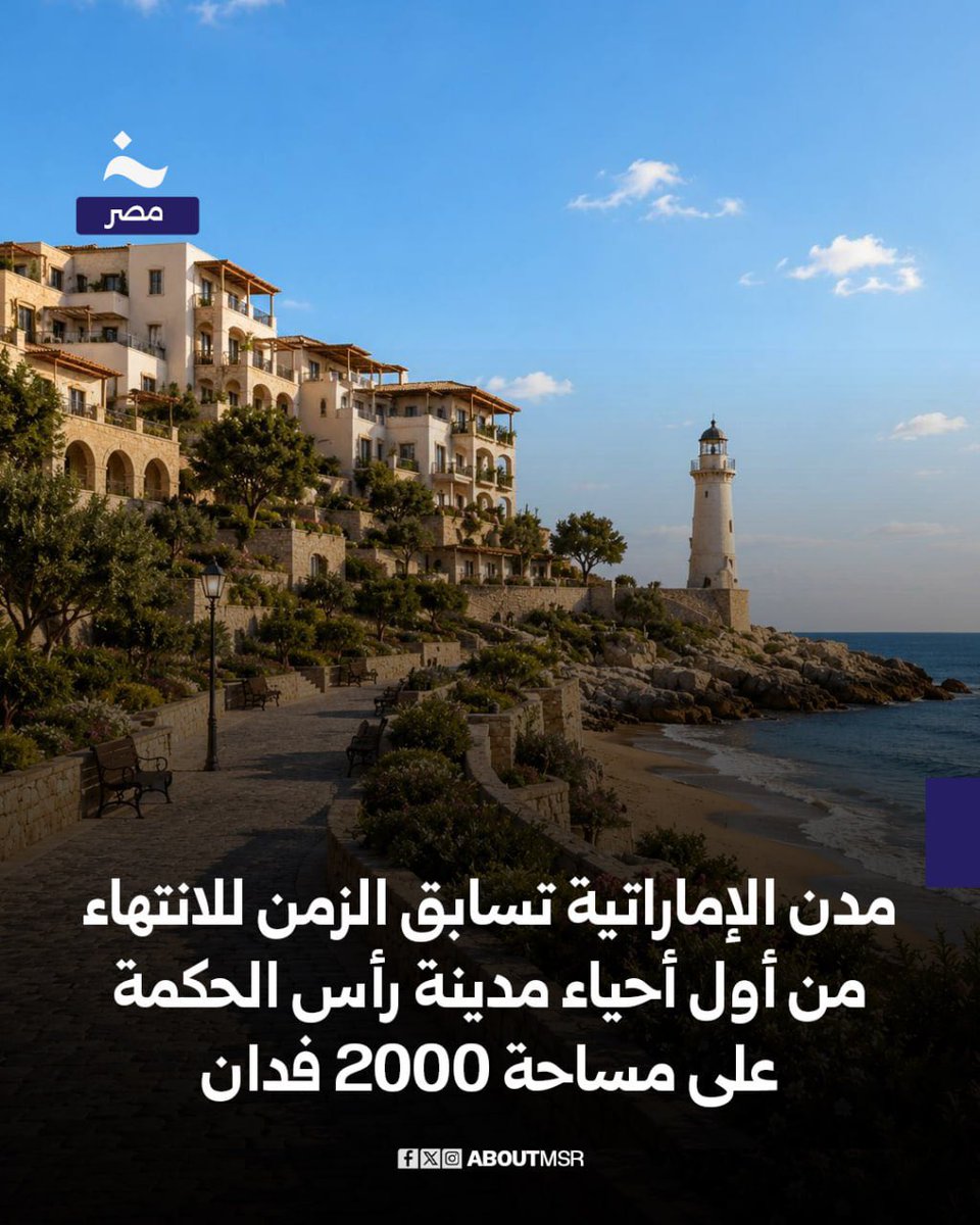 خاص - مصر tweet media