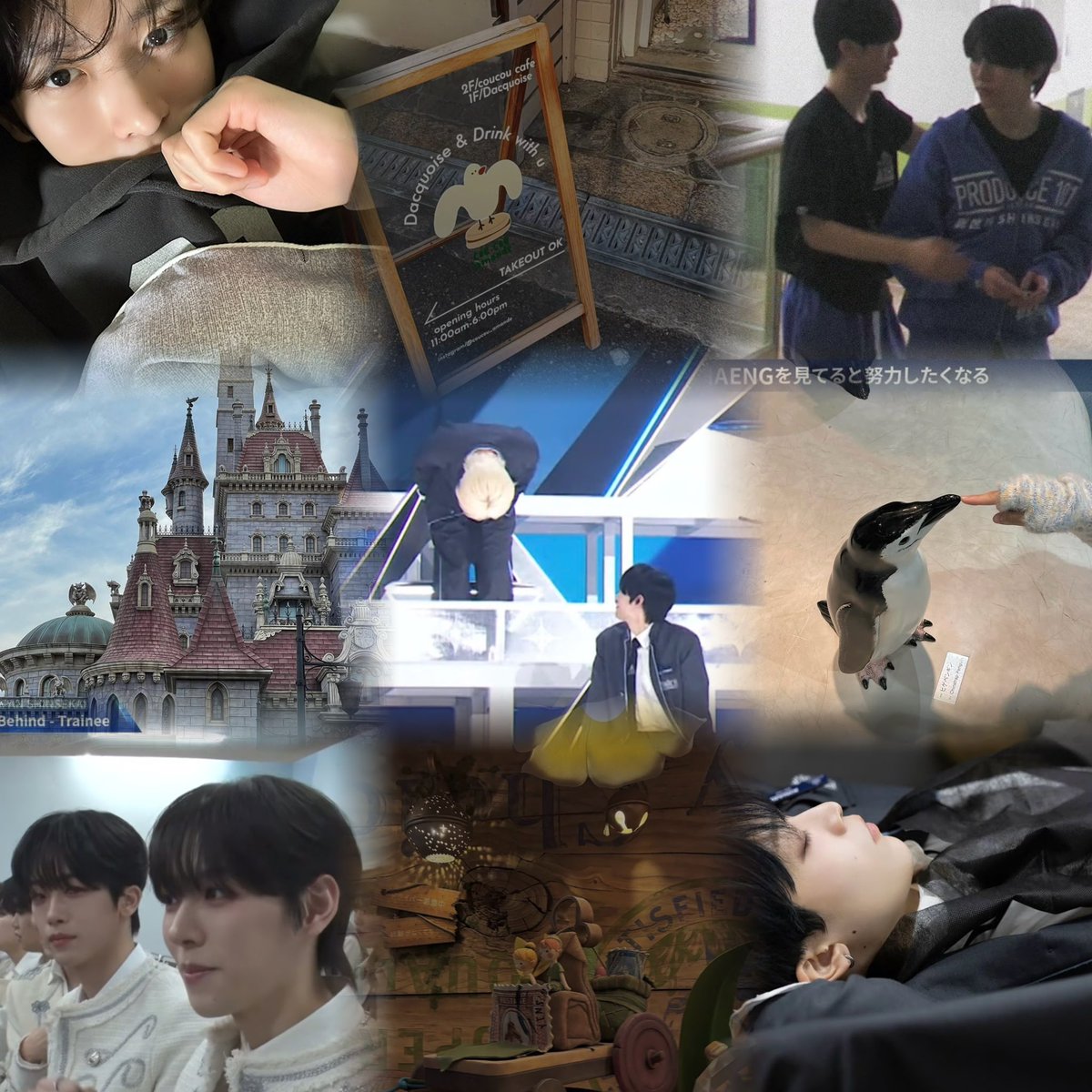 🐶🐱𓈒 𓂂𓏸 tweet media