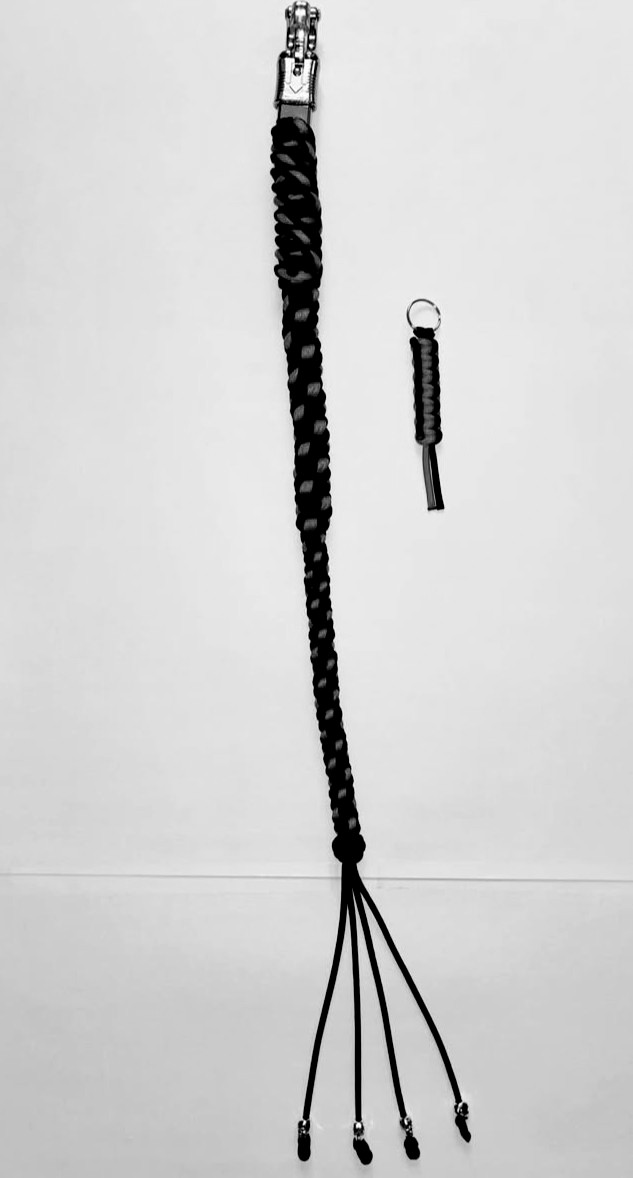 Dangerous_Comp's tweet photo. Get Back Whips https://t.co/cingpOsGU4