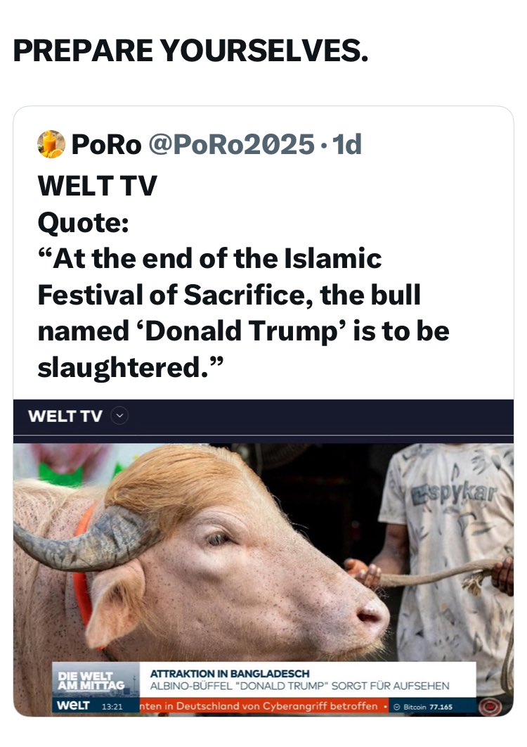 Lesgo Brando tweet media