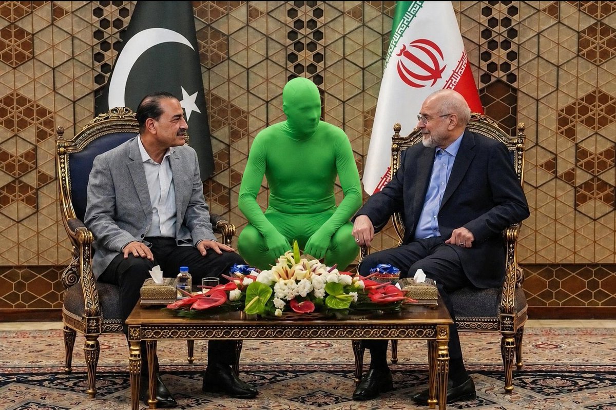 میمون مست tweet media