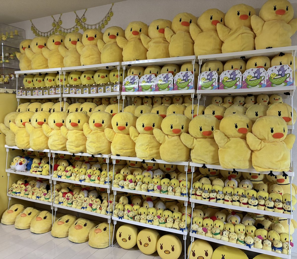 ひなぴよ tweet media