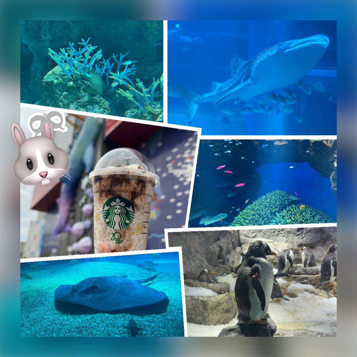 who_object716's tweet photo. 水族館🐟行ったよー
の話し🐳 https://t.co/AshvtUi0eA
