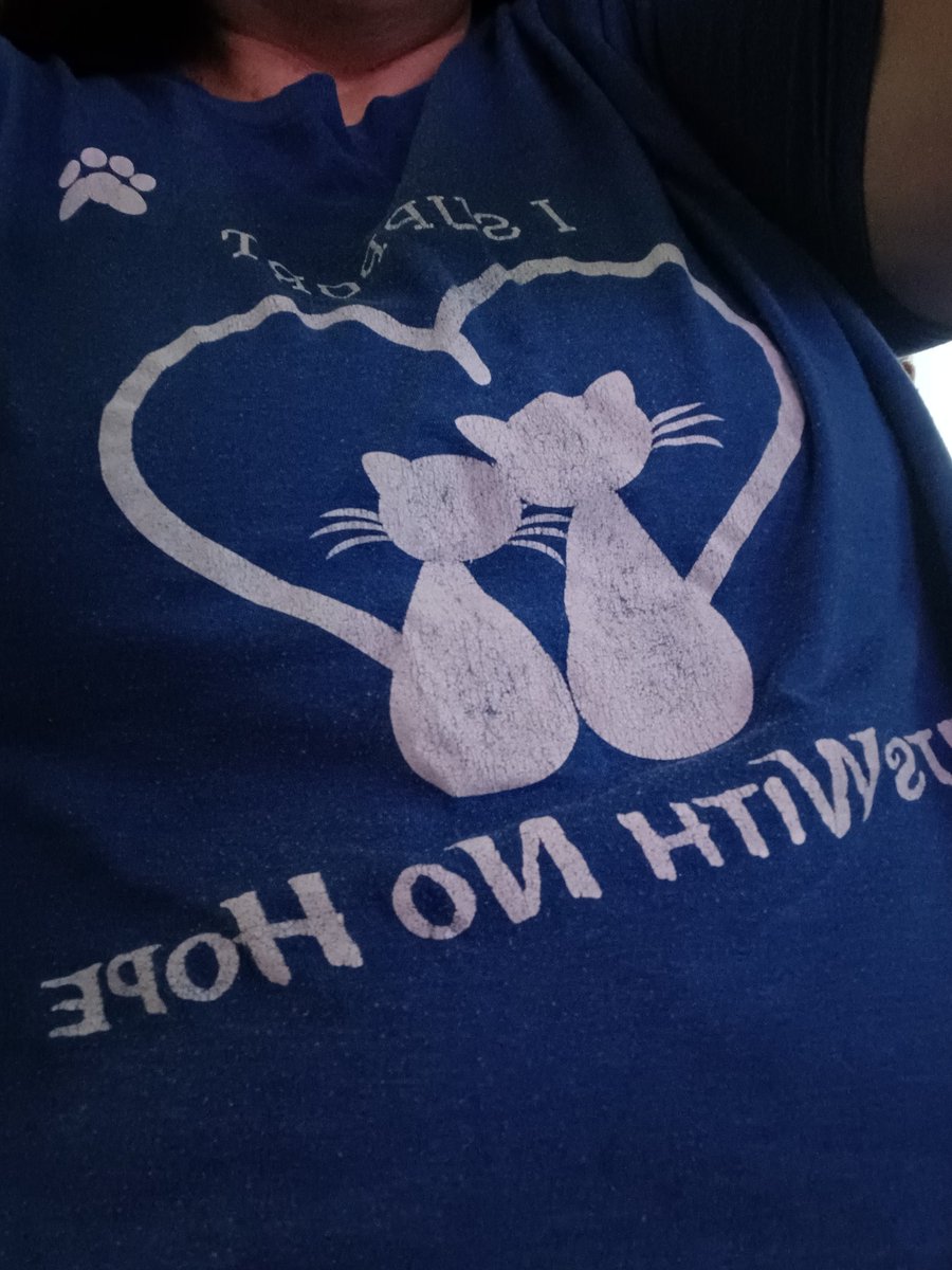 Mouse 🌈Tina 🌈KitKat 🐱🐈 tweet media