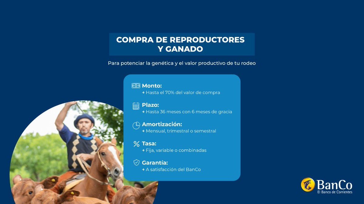 BancodeCtes's tweet photo. Impulsá tu actividad con las líneas Agro de BanCo 🌱

Deslizá el carrusel y conocé todas las alternativas de financiamiento como también, beneficios exclusivos a través del Paquete Agro y la Tarjeta Visa Agro 🚜🐄👉 https://t.co/HoC5fKZtq2