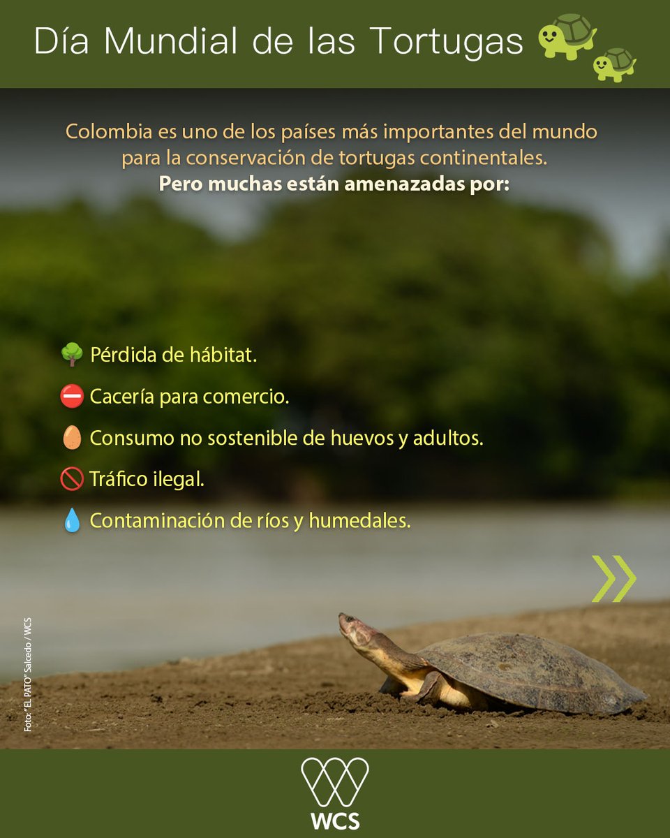 WCS Colombia 💚 tweet media