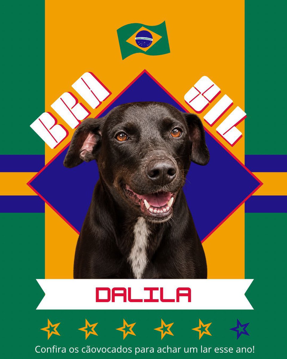 Cãogonhal - Proteção Animal tweet media