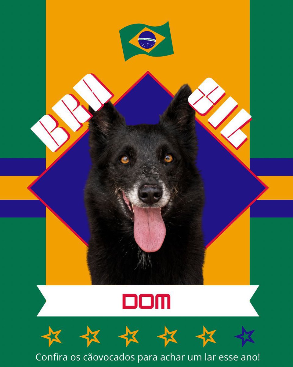 Cãogonhal - Proteção Animal tweet media