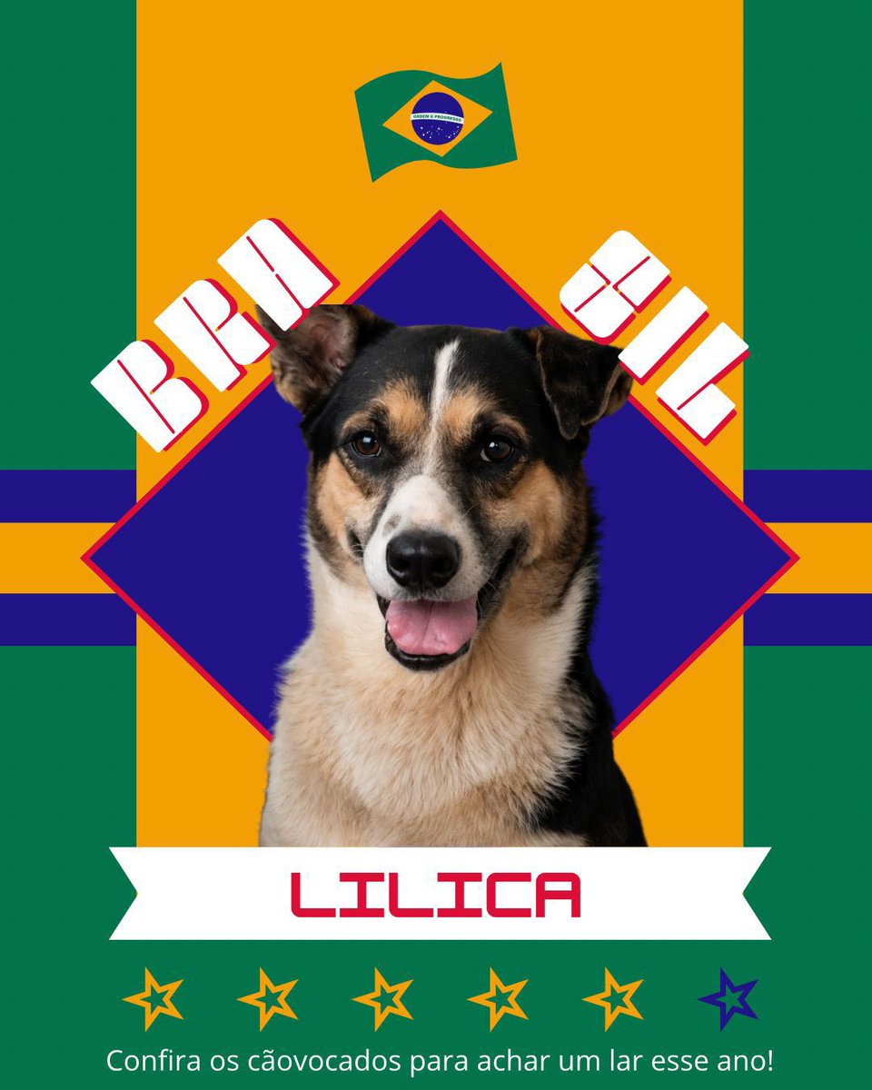 Cãogonhal - Proteção Animal tweet media