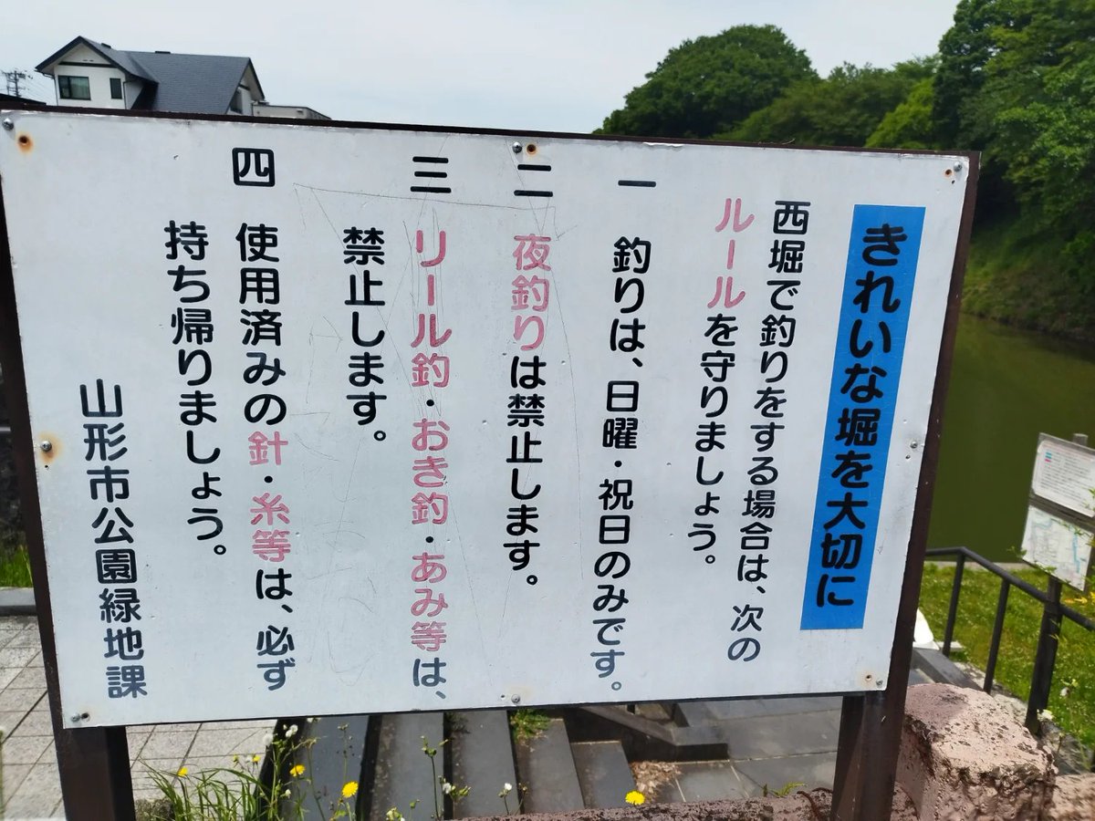明星P・ななもも tweet media