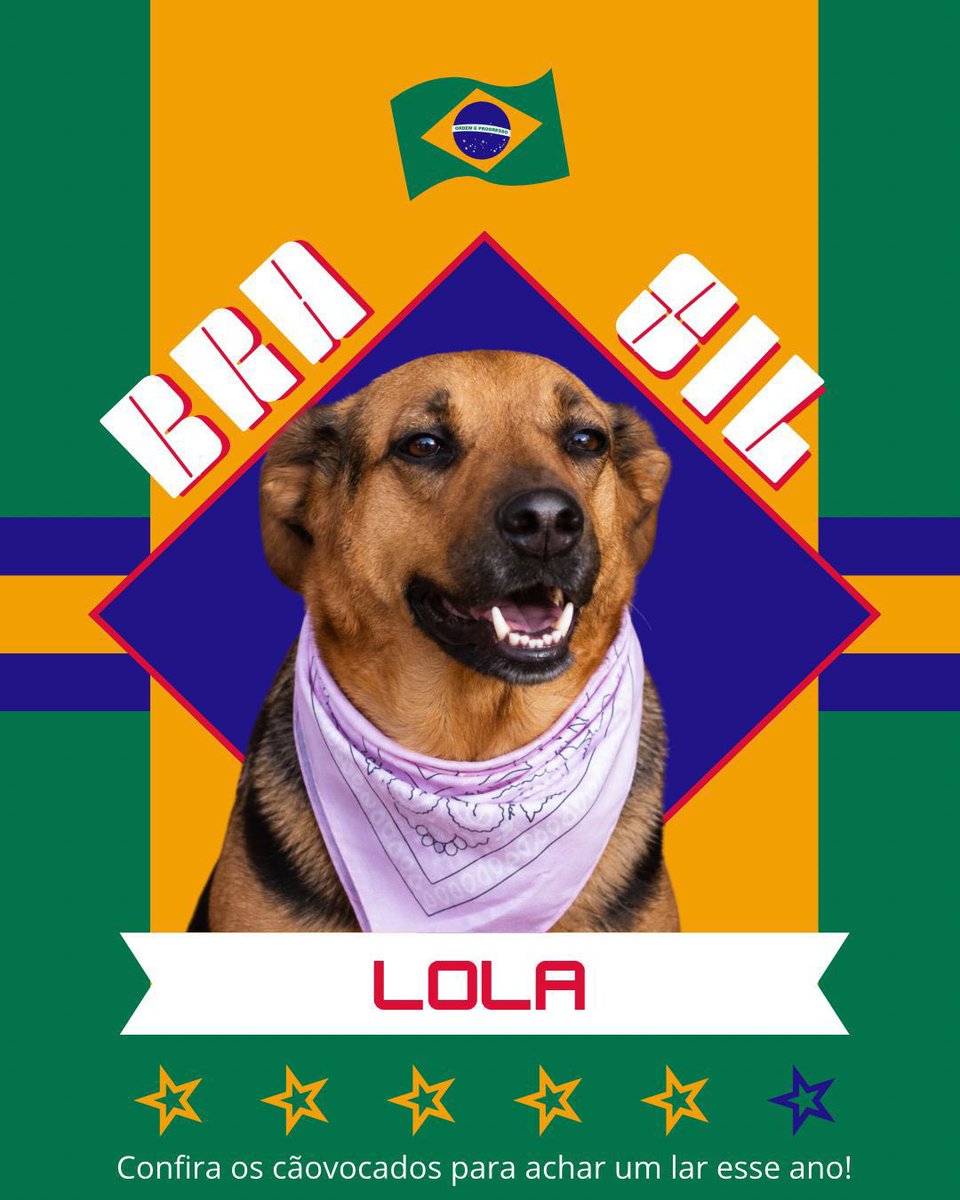 Cãogonhal - Proteção Animal tweet media