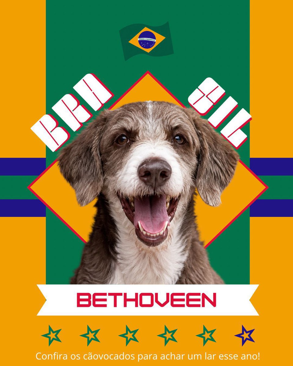 Cãogonhal - Proteção Animal tweet media