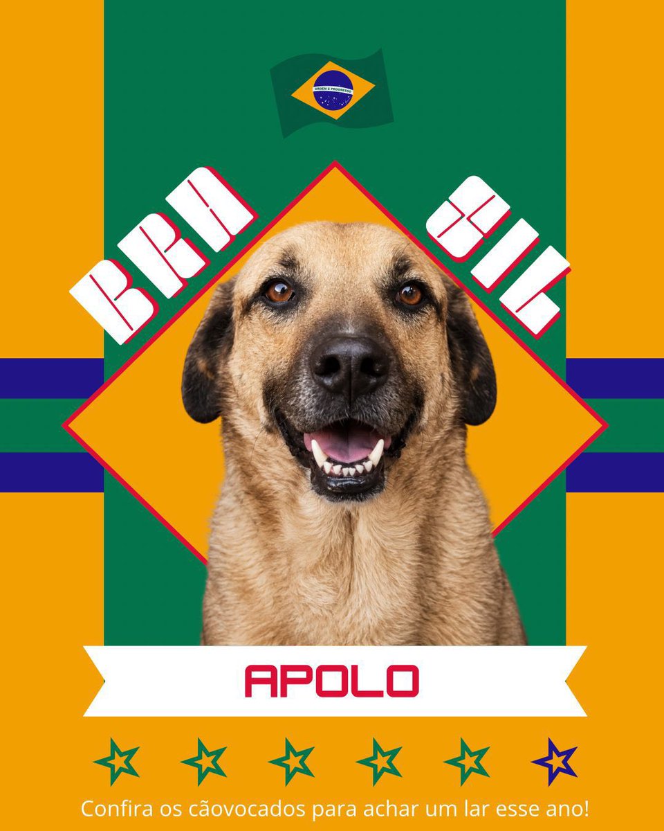 Cãogonhal - Proteção Animal tweet media