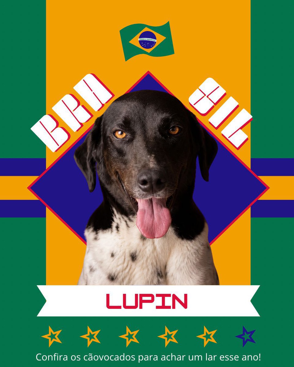 Cãogonhal - Proteção Animal tweet media