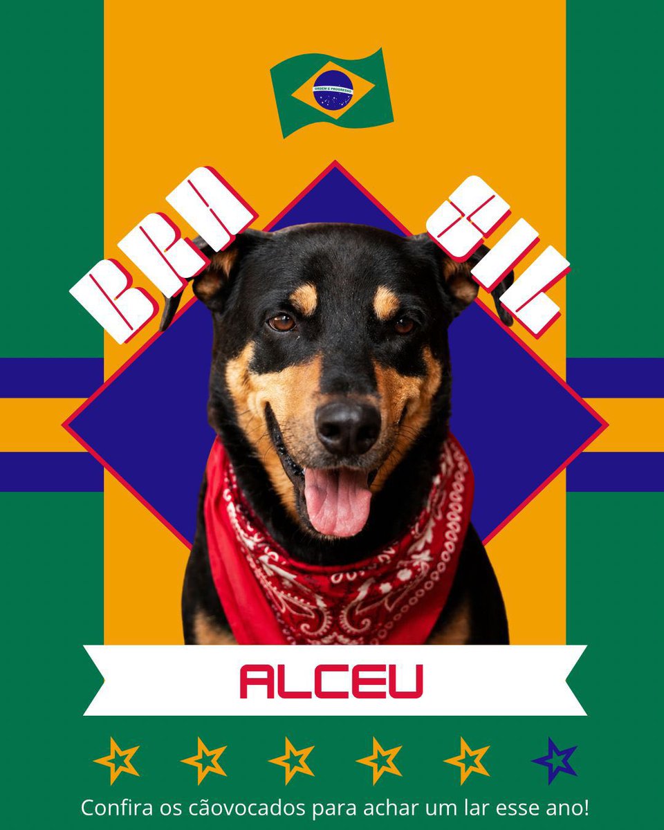 Cãogonhal - Proteção Animal tweet media