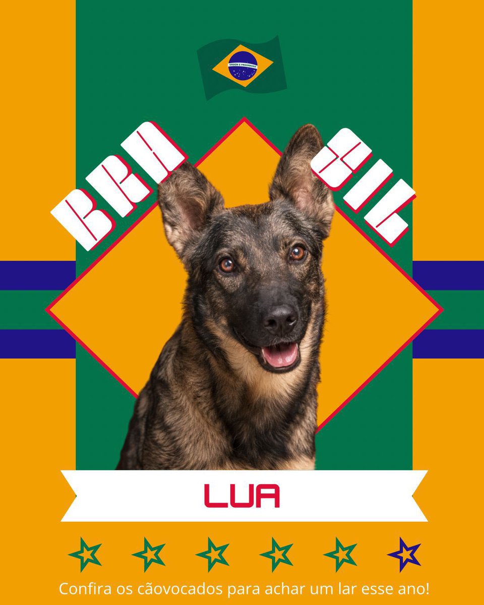 Cãogonhal - Proteção Animal tweet media