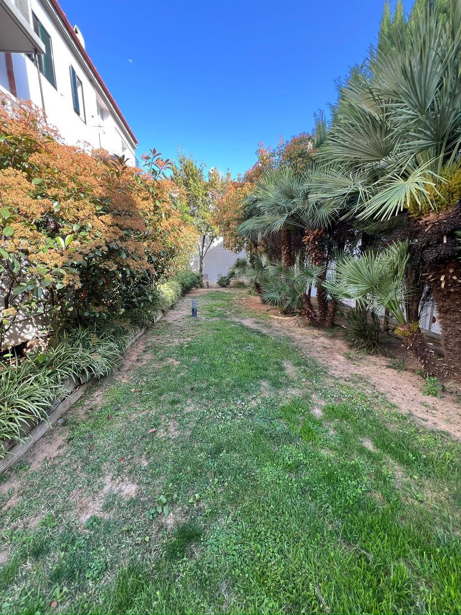 XavierSoms1's tweet photo. 🌿 Apartament amb terrassa a Cadaqués ☀️

🏡 72 m² reformats el 2024
🌿 Terrassa privada de 20 m²
🛏️ 2 dormitoris
❄️ Aire condicionat
🌿 Jardí comunitari

📍 Zona tranquil·la a 500 m del centre i del mar 🌊

💰 397.000 €

📩 DM per més informació o visita

#Cadaques #CostaBrava https://t.co/ZPMDnprAL8