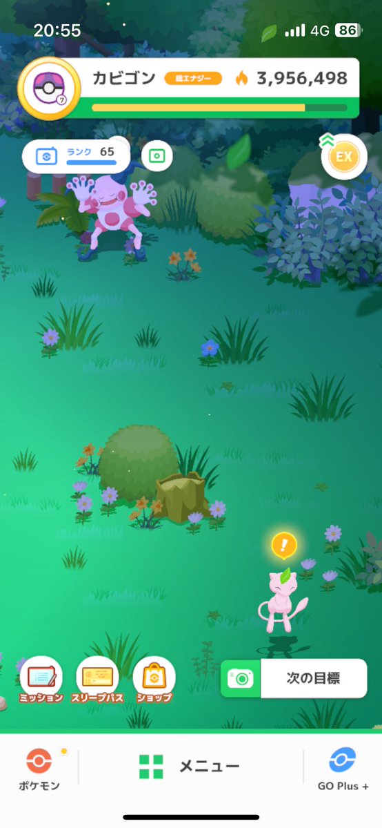 p--nuts@ポケモンスリープ tweet media
