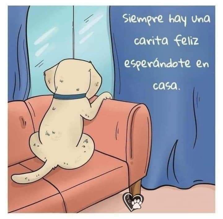 Max 🇦🇷 tweet media